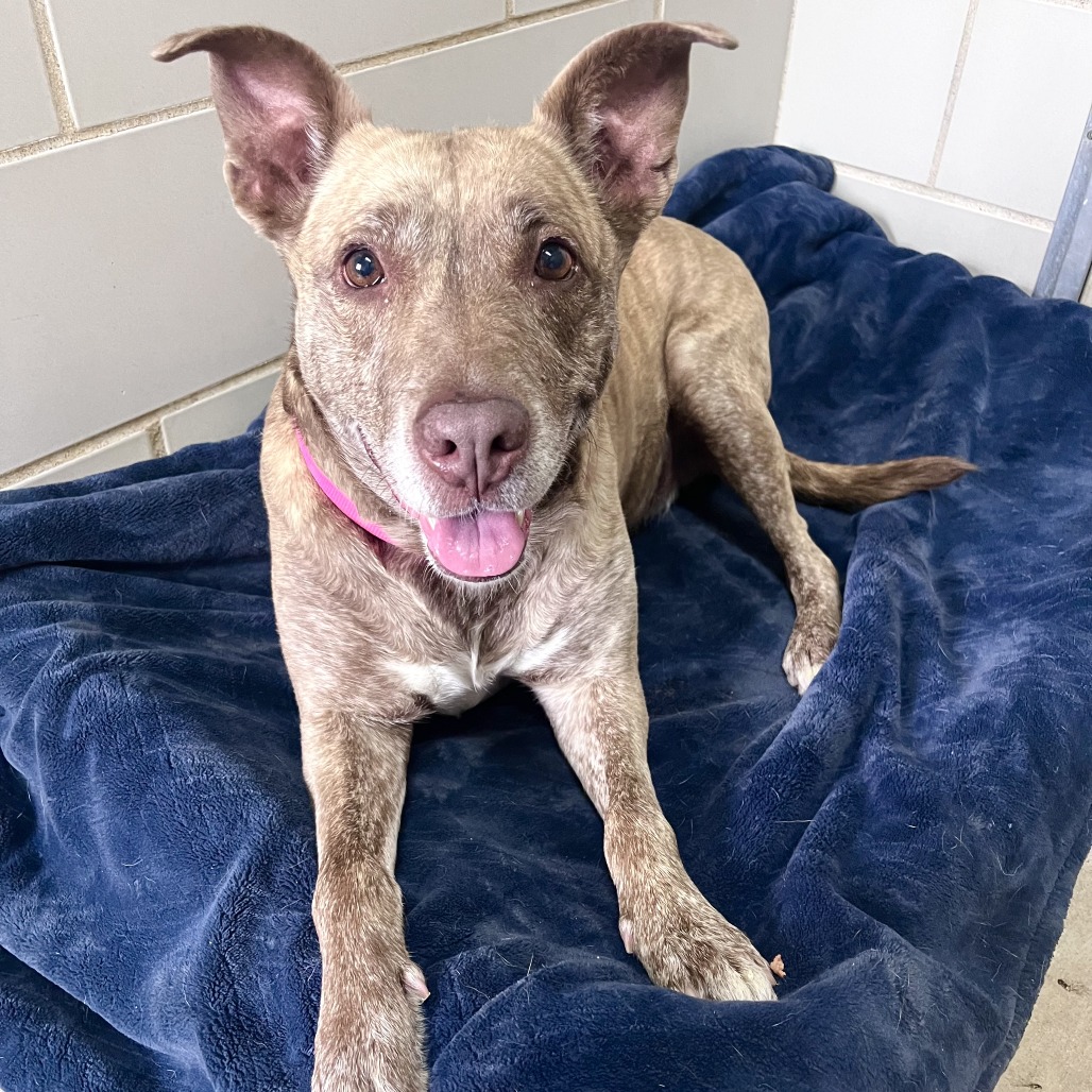 Dixie Loo, photo 20