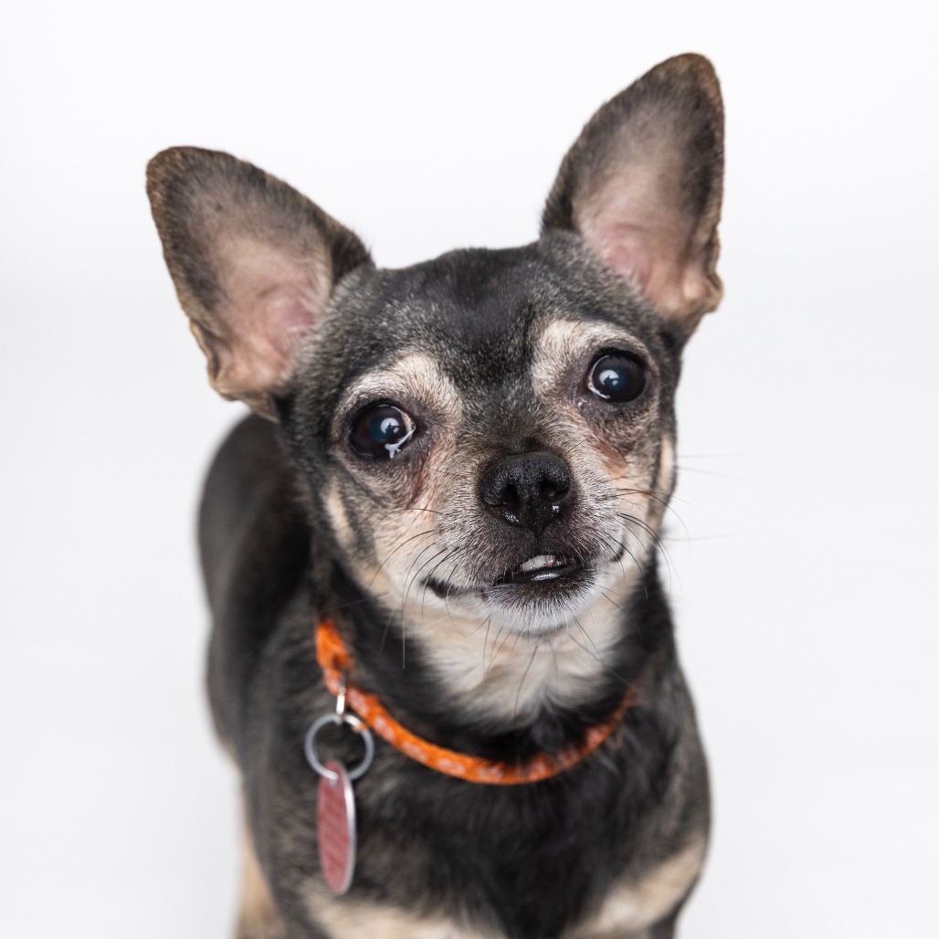 Jr  bonded with Sammy