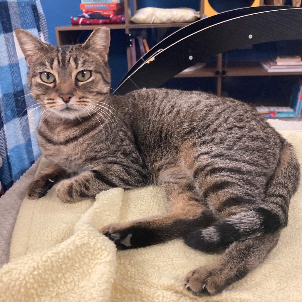 Cleopatra picture #3