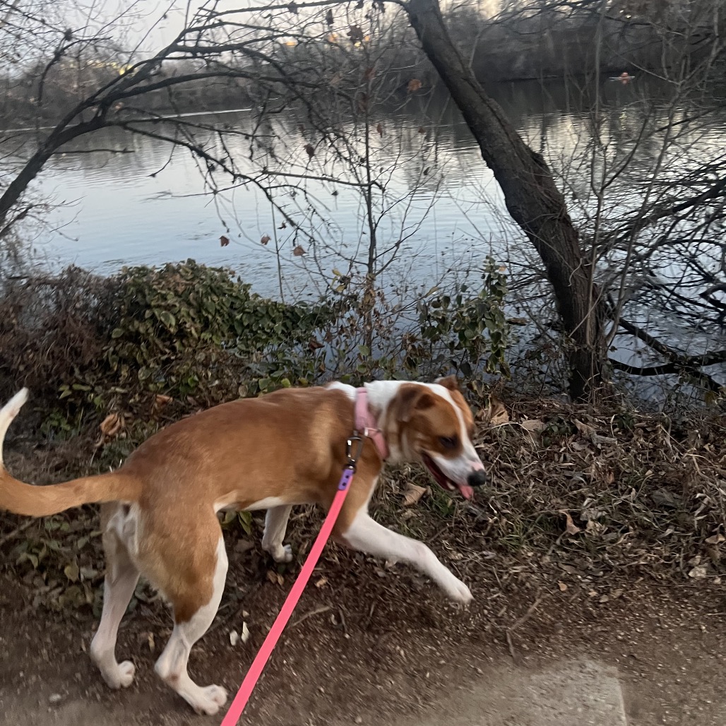 Jason — thumbnail 11