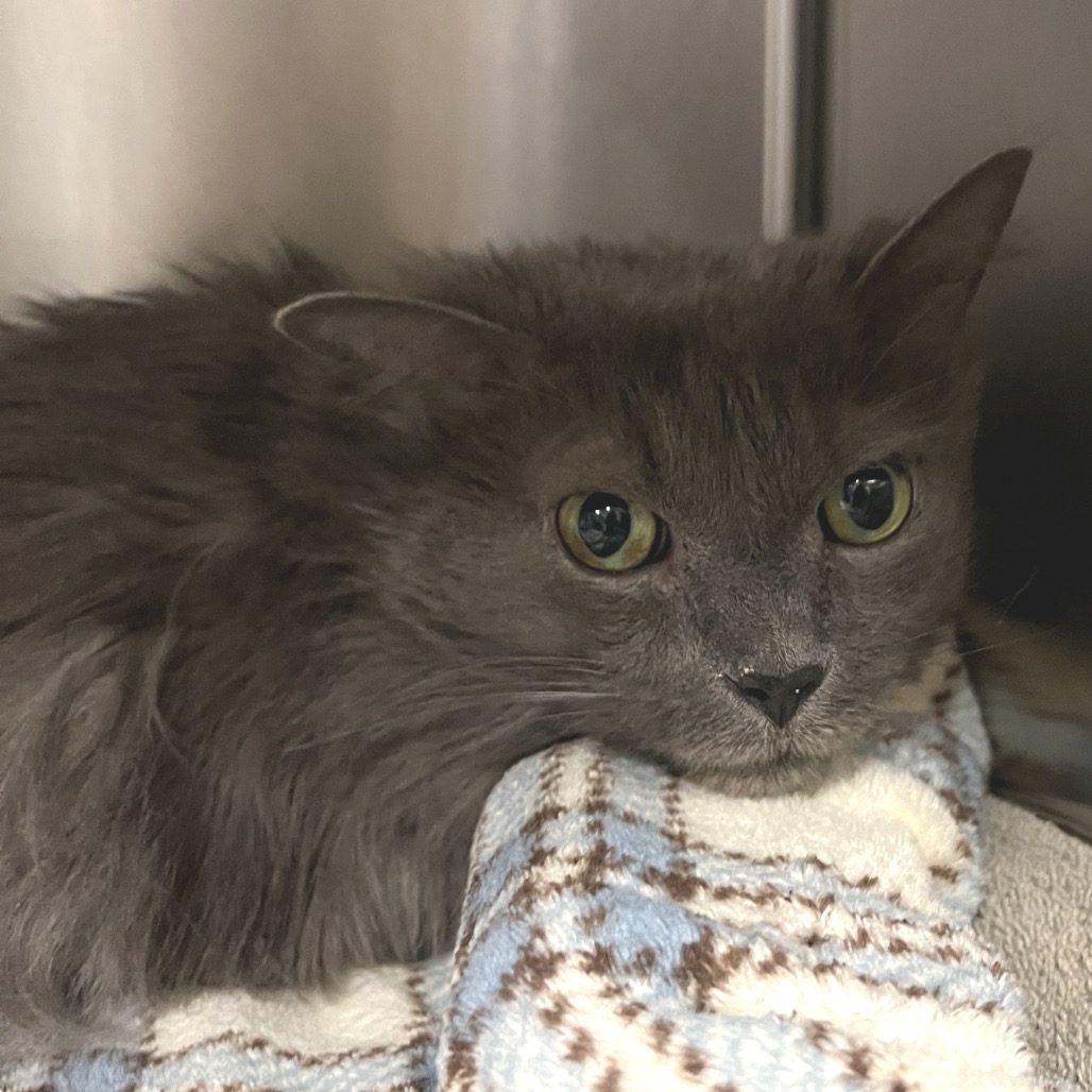 a4f551e4b34b563350fdfb7a6bddc29f