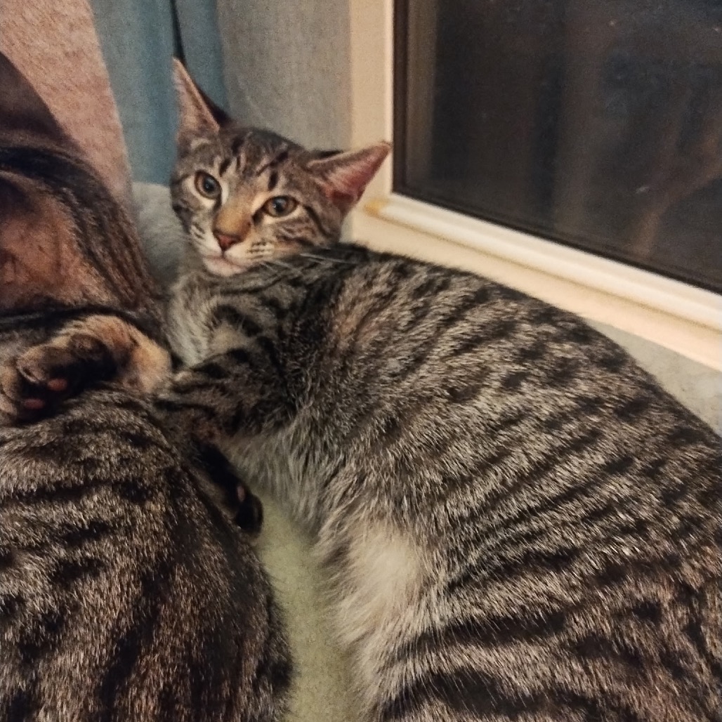 Precious
