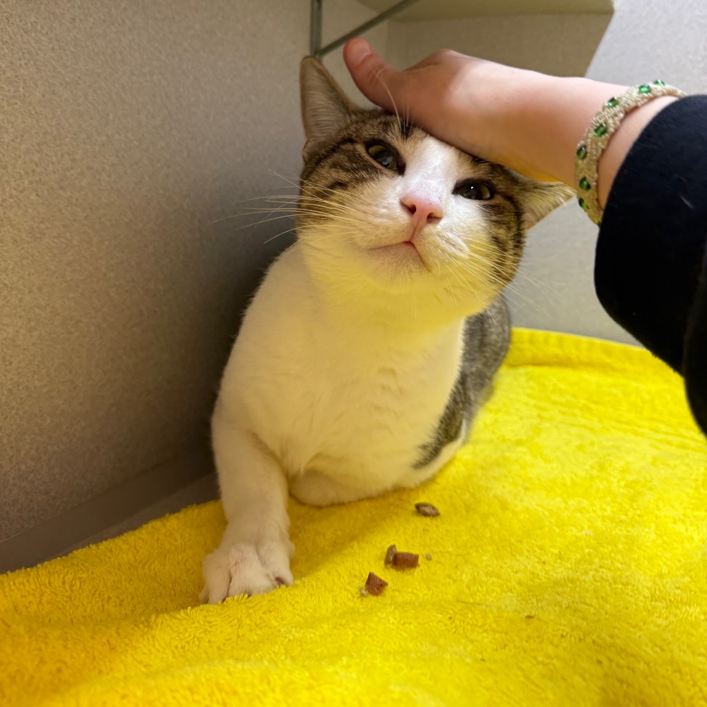 Photo of Nick Carraway 15