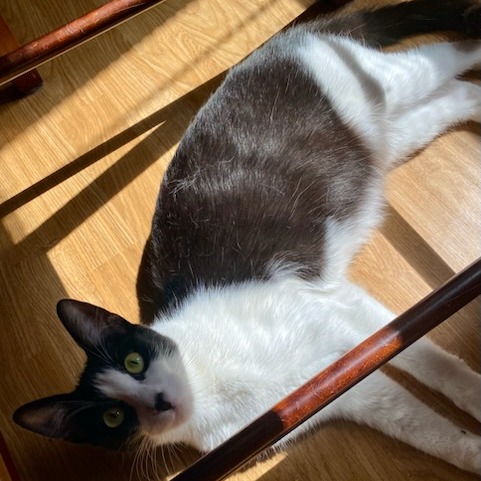 Beatrix, photo 4