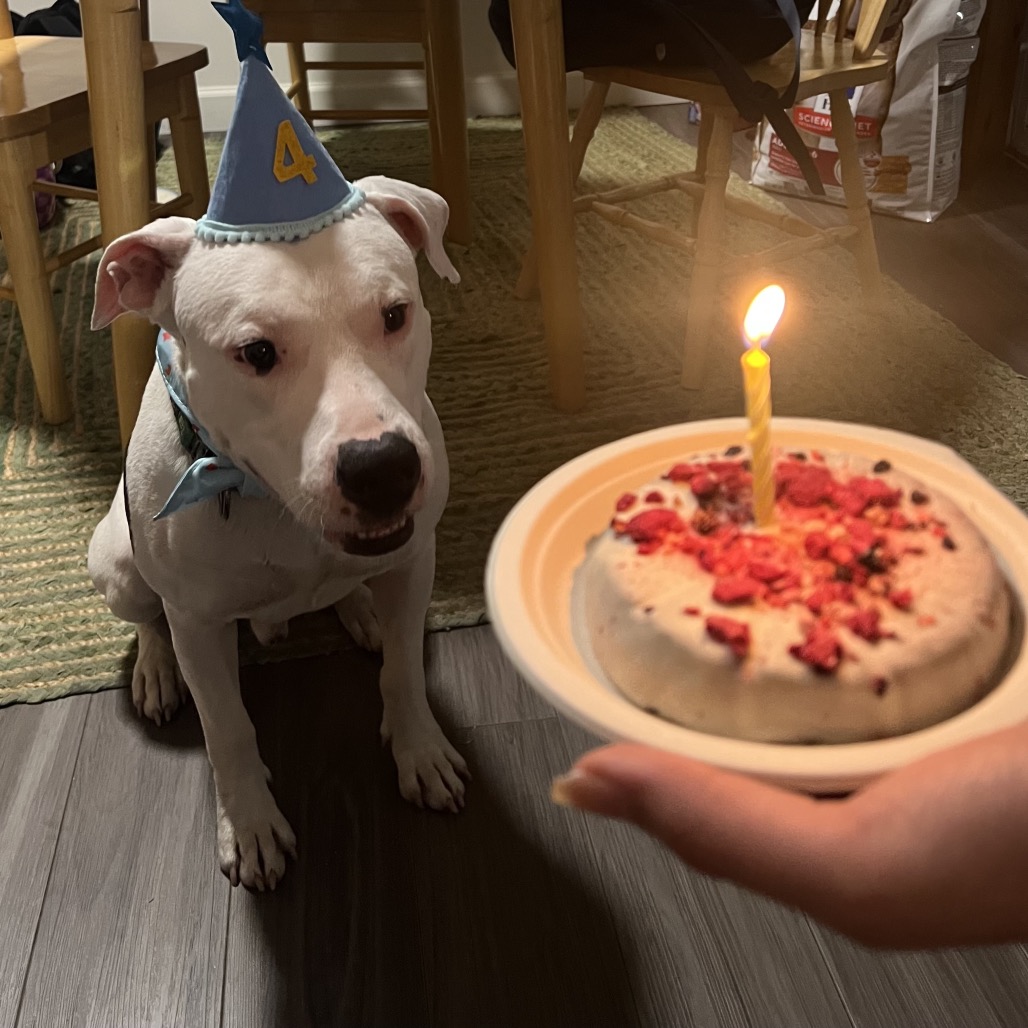 3cf672aaa4c250c9d256f7dced1c3211