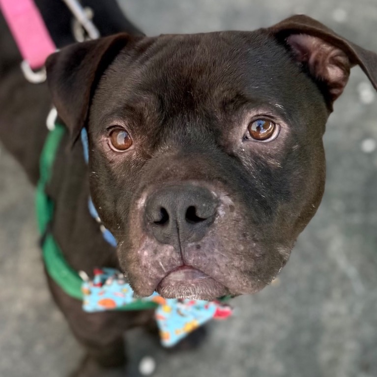 Full body shot of Pops