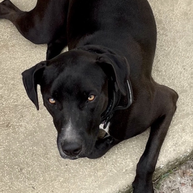Oscar, photo 2