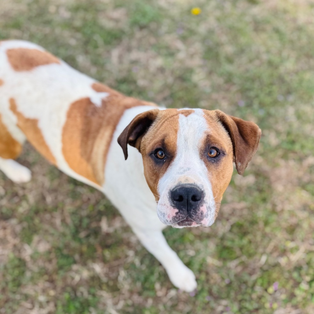 Diana — thumbnail 3