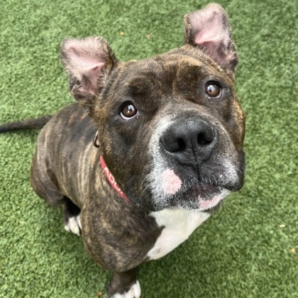 Keekoh — thumbnail 7