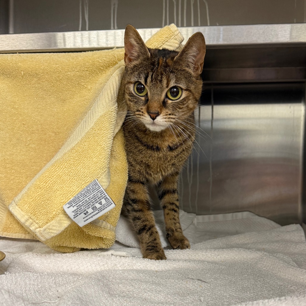 Photo of Little Bit 3