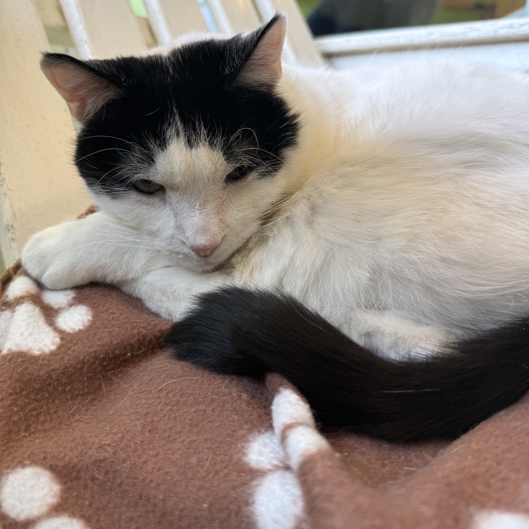 Jacque — thumbnail 4