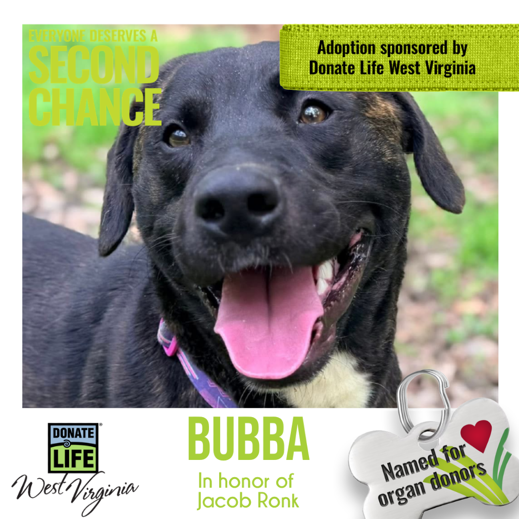 Bubba fka Bubblegum, photo 5