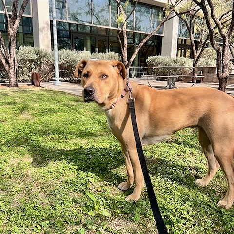 Maisy — thumbnail 10