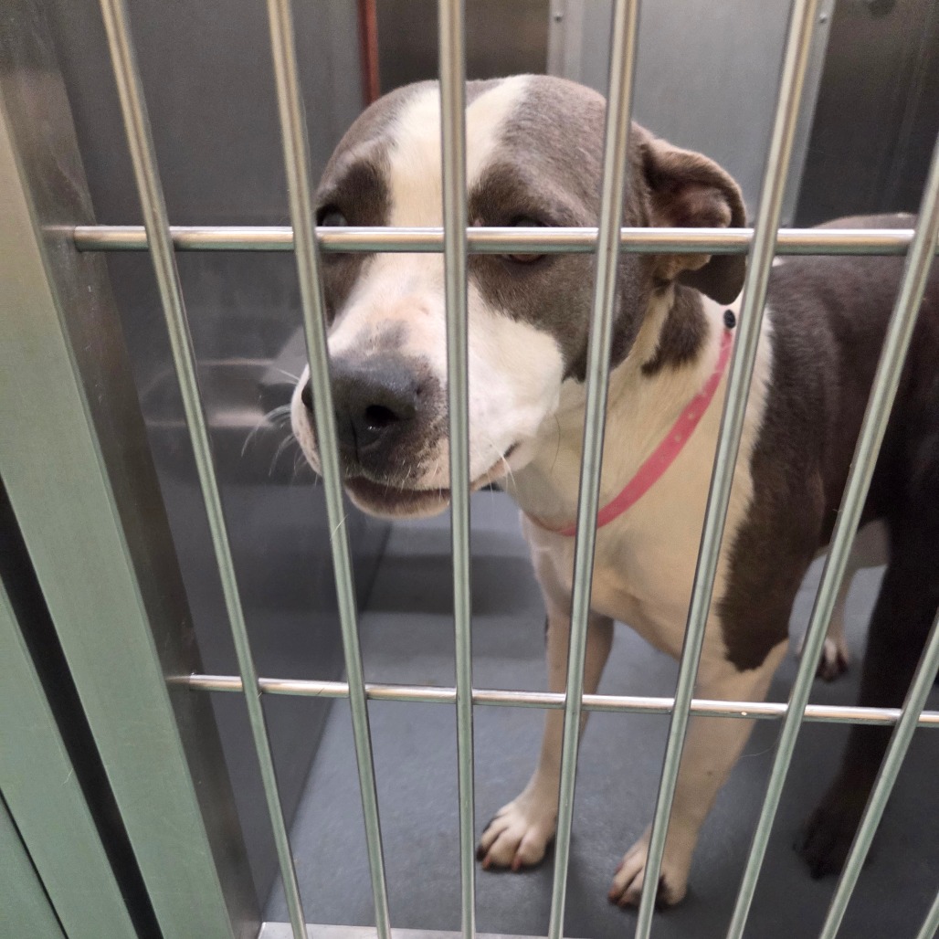 Happy — thumbnail 8