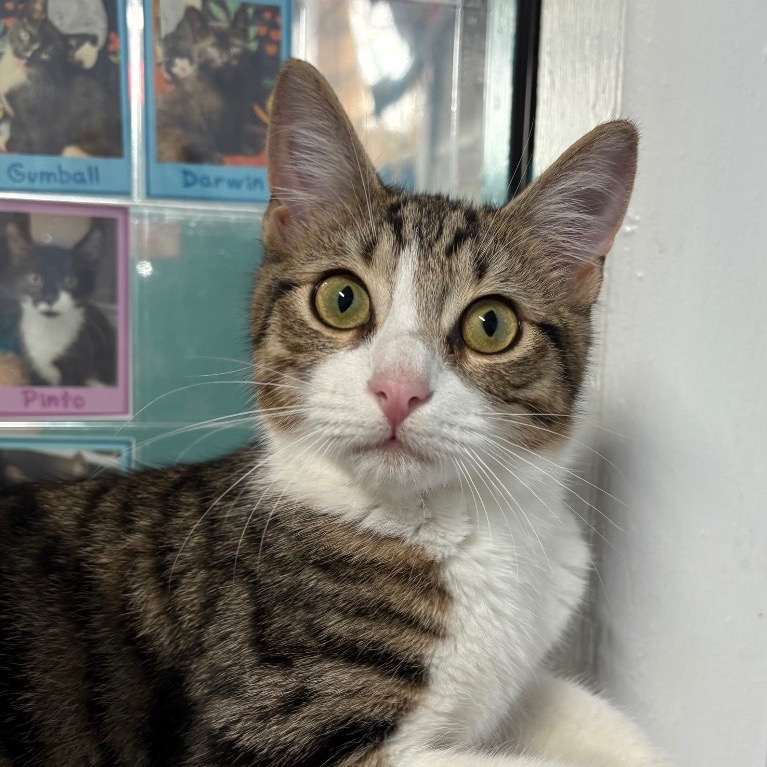 Close-up photo of Jeffrey