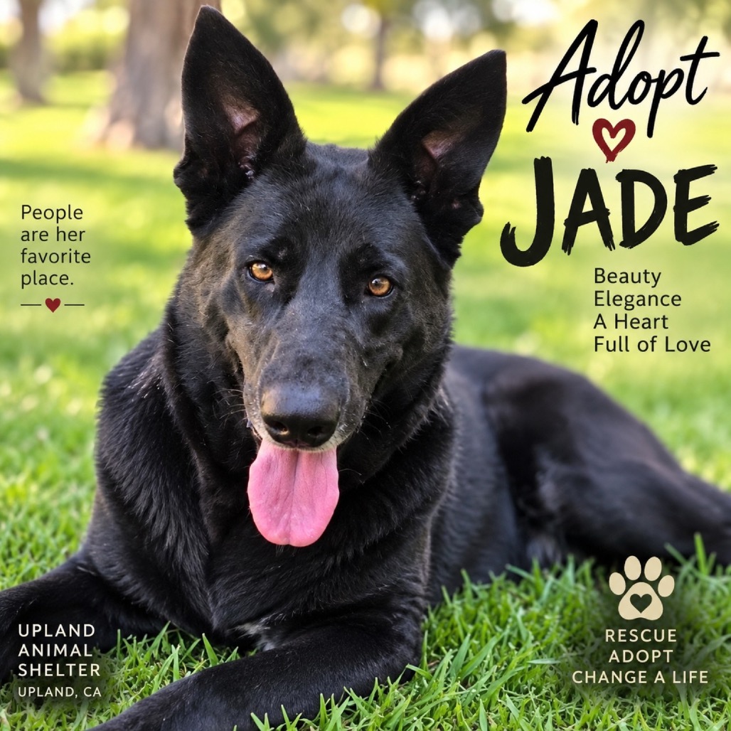 JADE