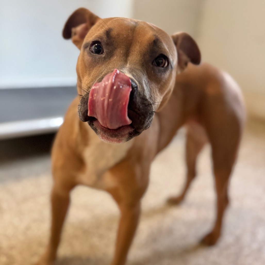 Tink — thumbnail 4