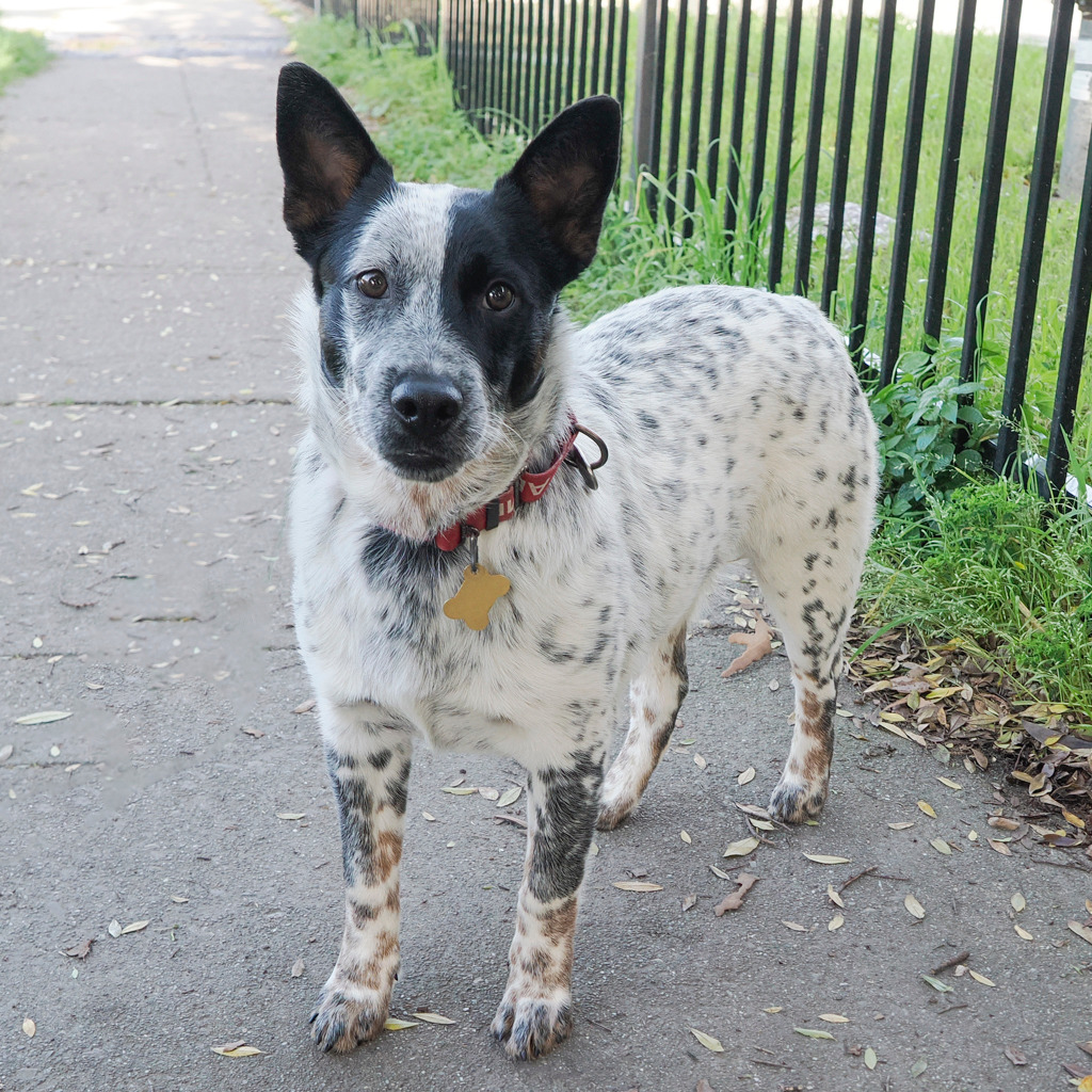 ERNIE, photo 2