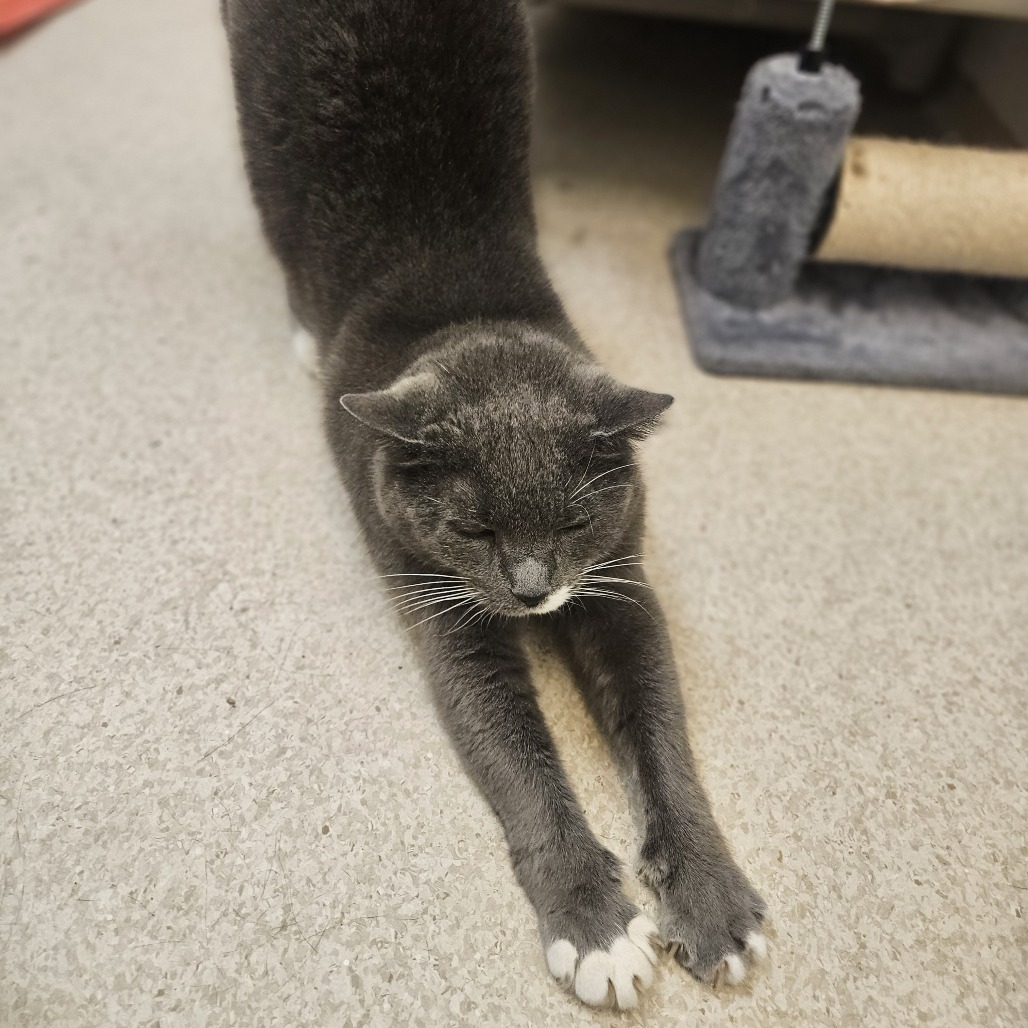 Applesauce, photo 32