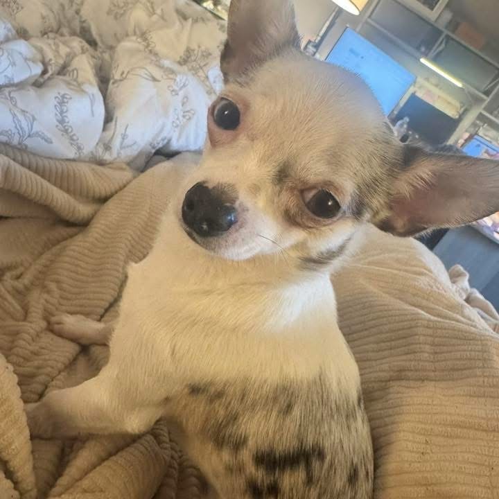Photo of Jack