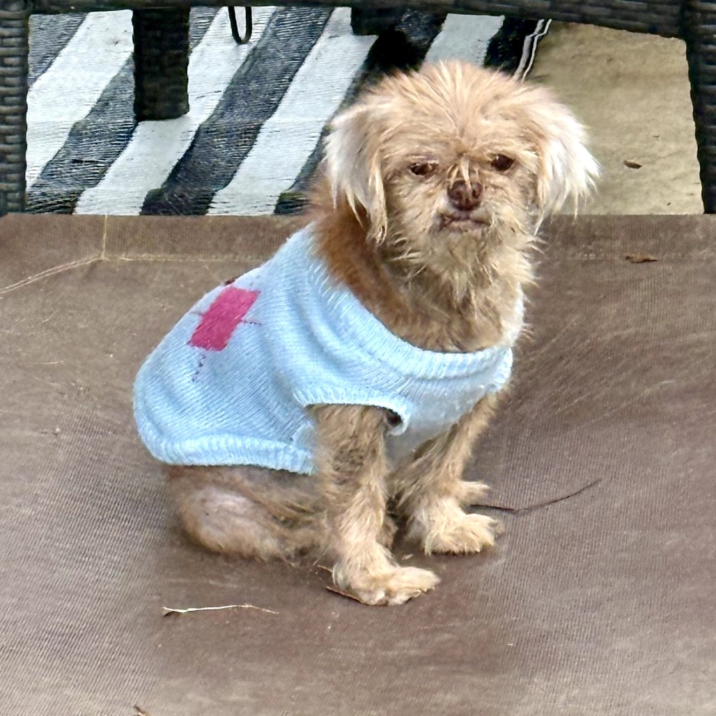 Jayna — thumbnail 4