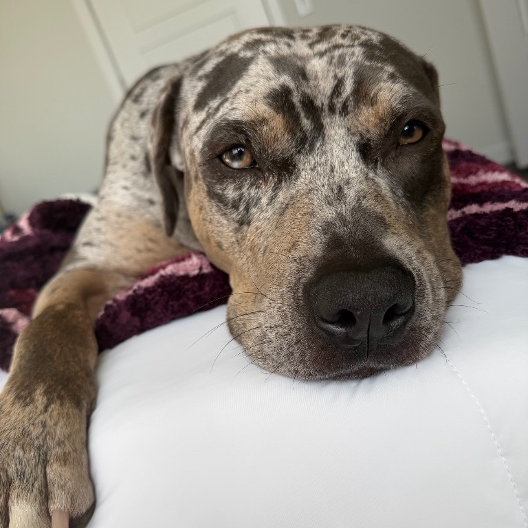 Full body shot of Shadow