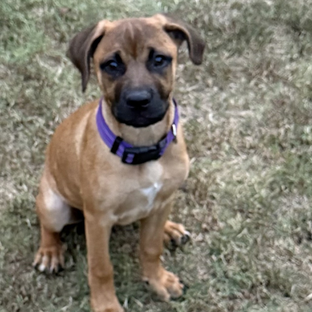 ELISE — thumbnail 10