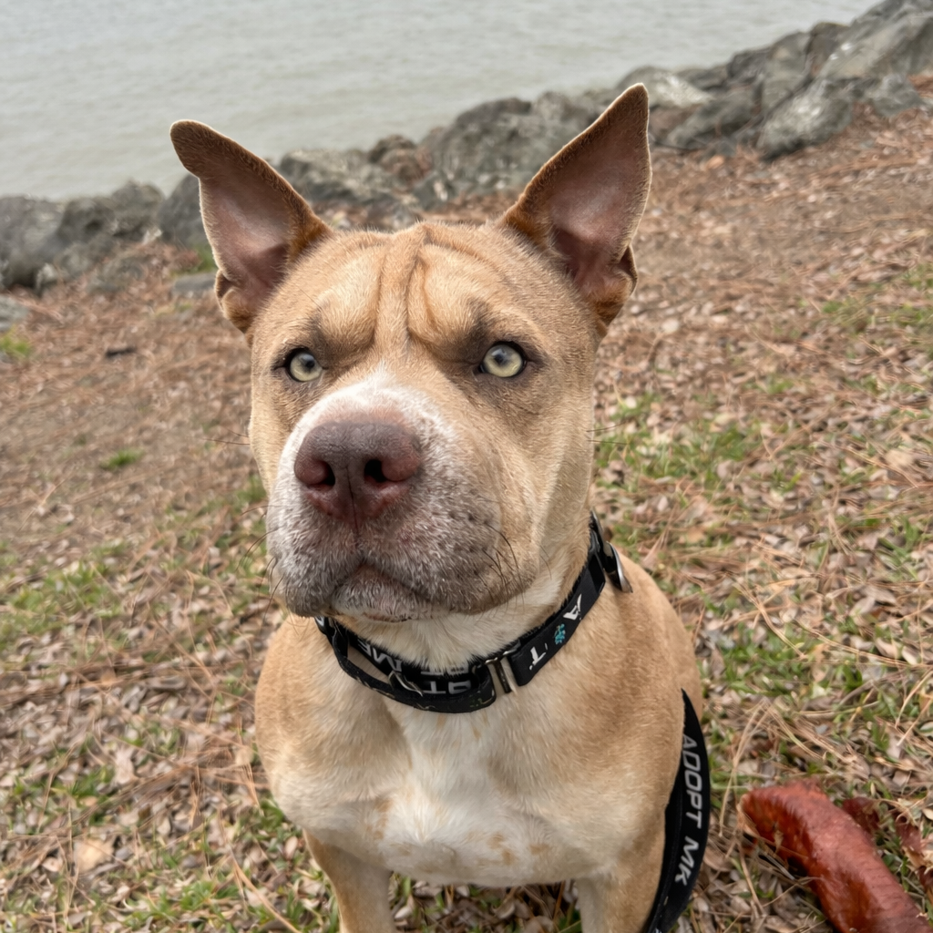 GUS, photo 9