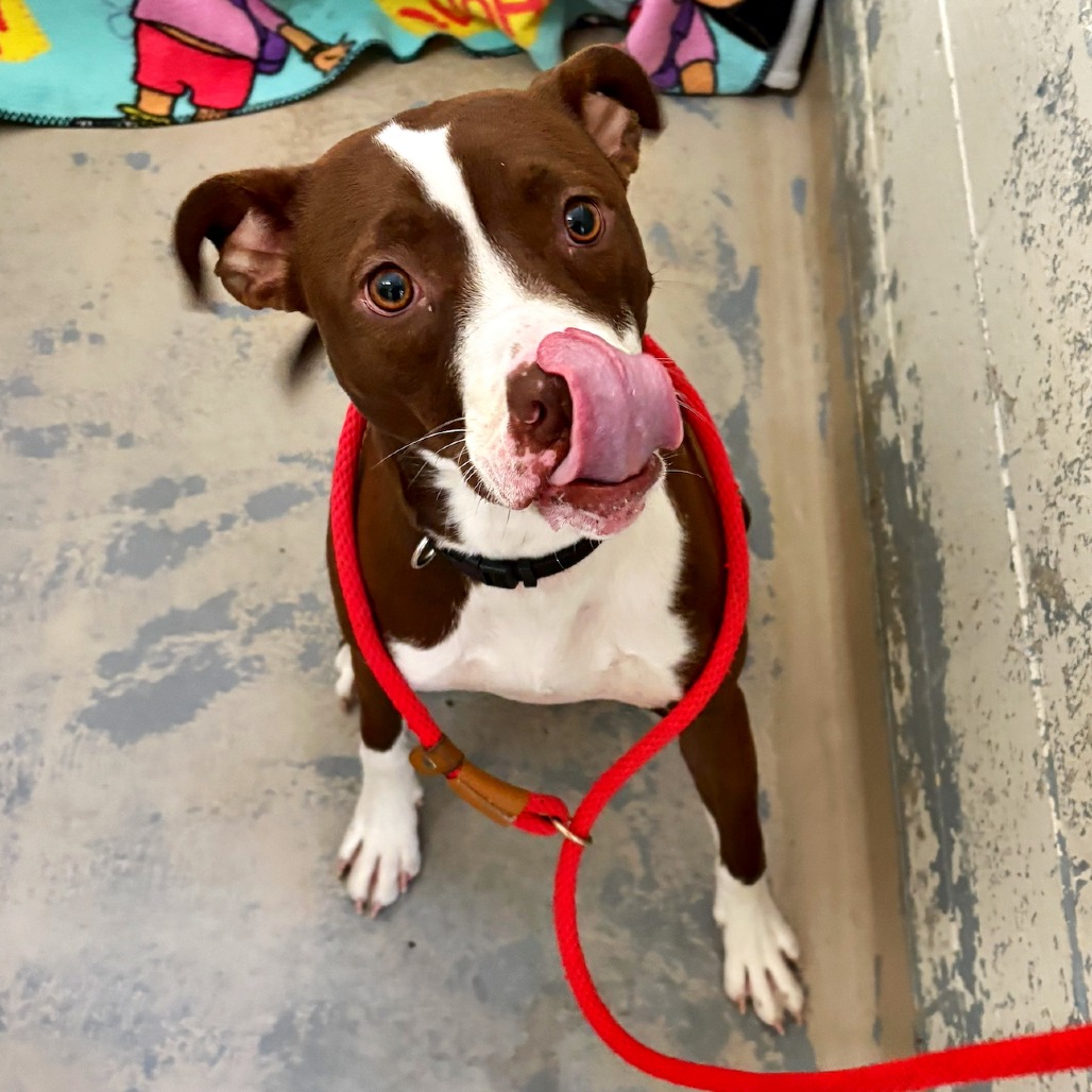 Happy — thumbnail 3