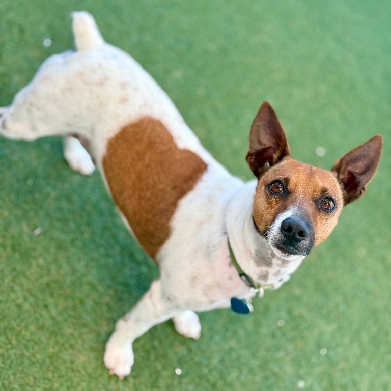 Image of Ian looking at the camera