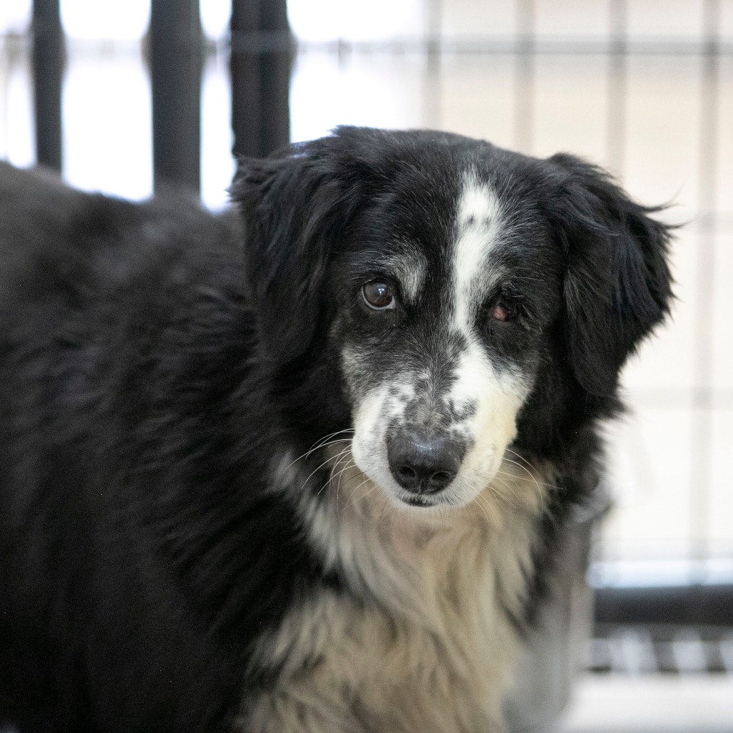 Skittles (MR26-329), photo 2