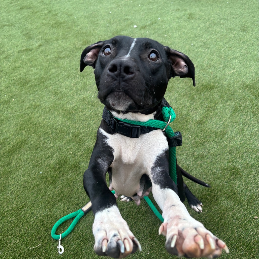 Daria — thumbnail 5