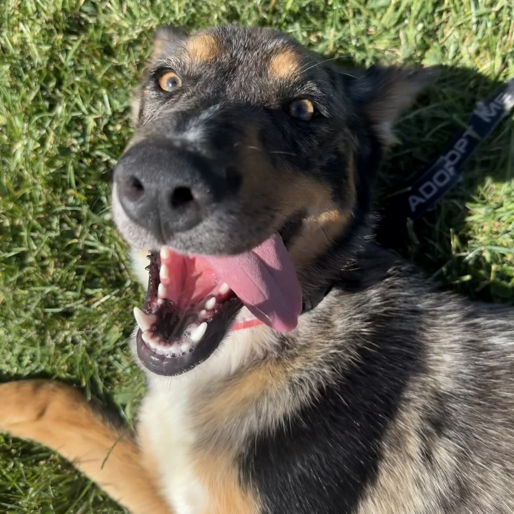 LEFTY, photo 20