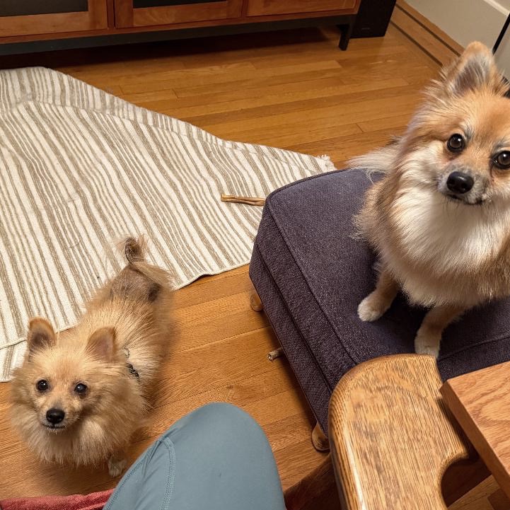 Bocce — thumbnail 5