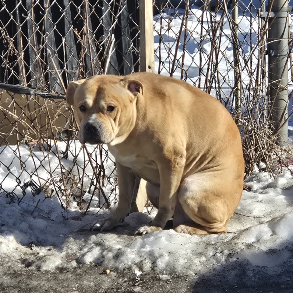 Hercules — thumbnail 2