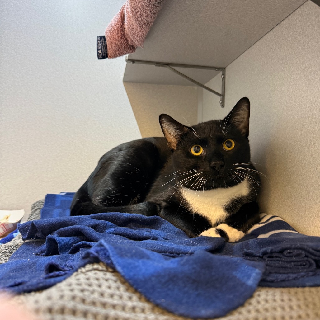 Photo of Ernie 4