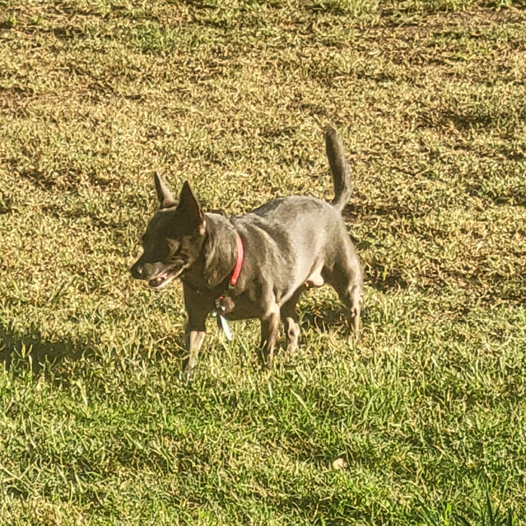 Mavis, photo 10