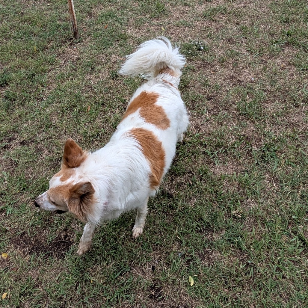 Sandy photo 18