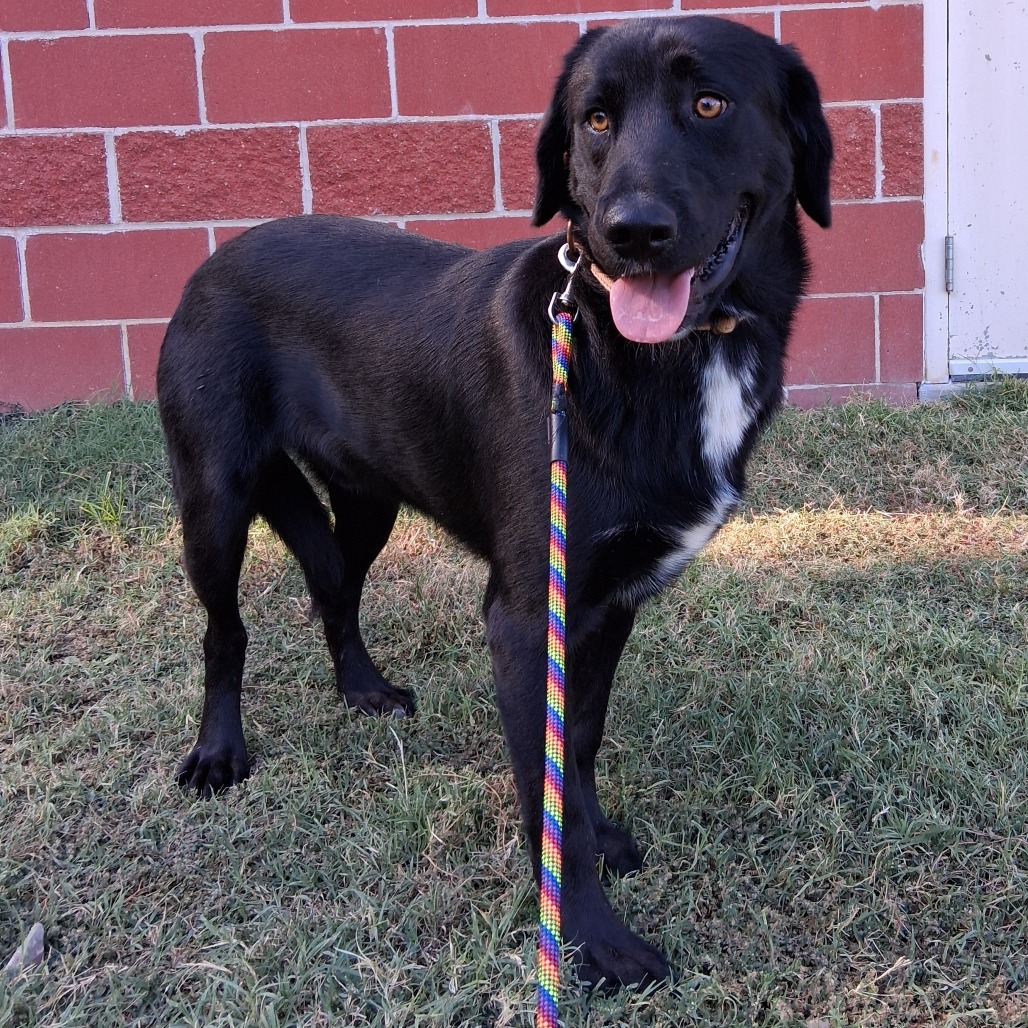 Ernie, photo 3