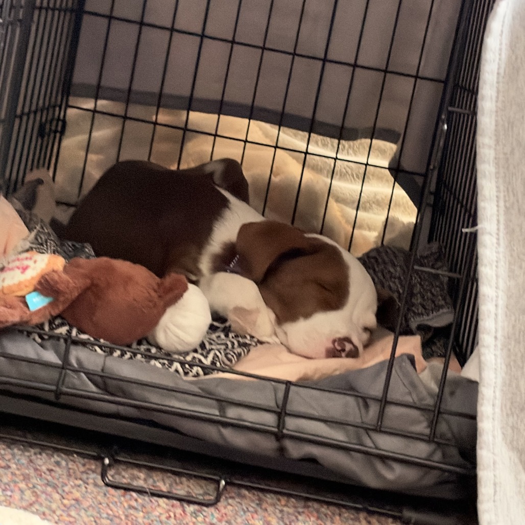 SLEEPY, photo 8