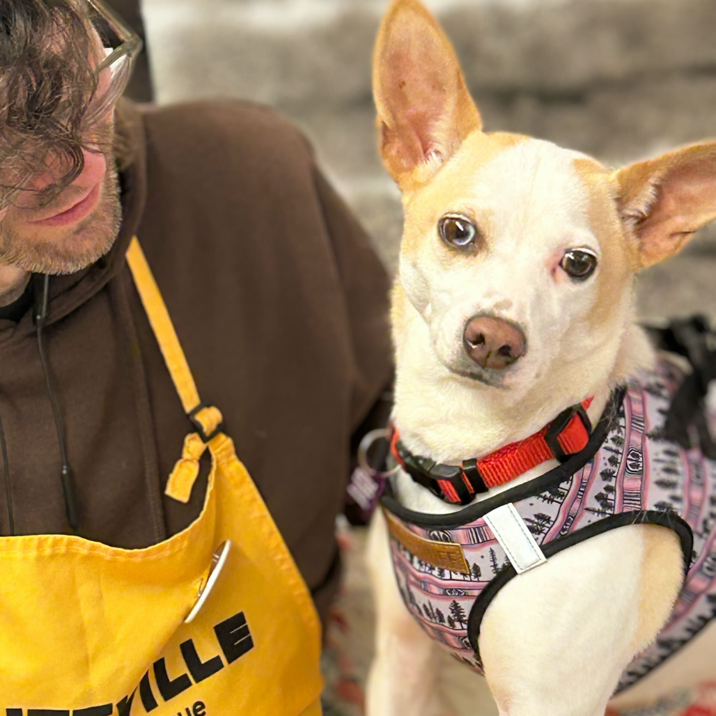 Maizie 13812 — thumbnail 3