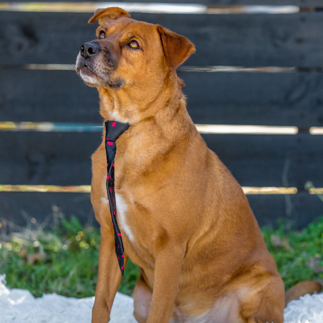 Photo of Spike "Riley"