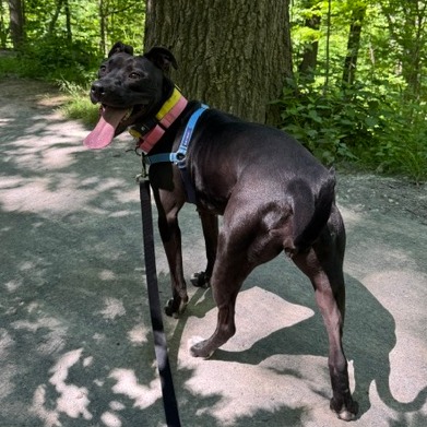 Photo of Marge 23
