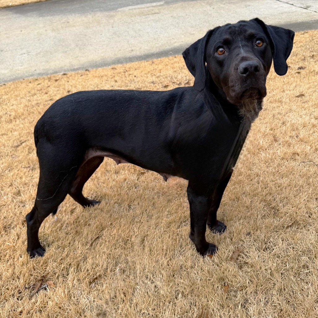 Trix — thumbnail 5