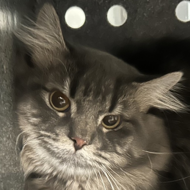 Fred — thumbnail 2