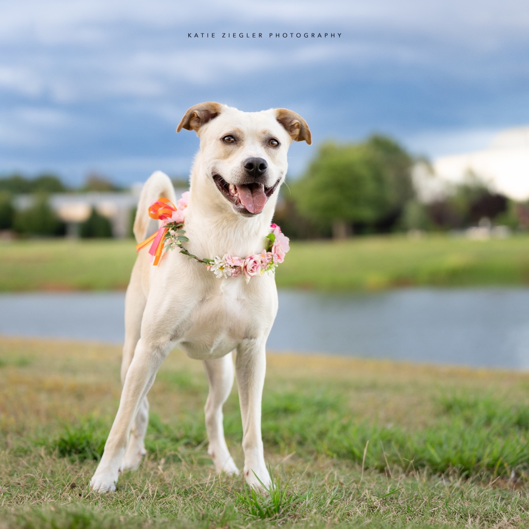 Pearl, photo 6