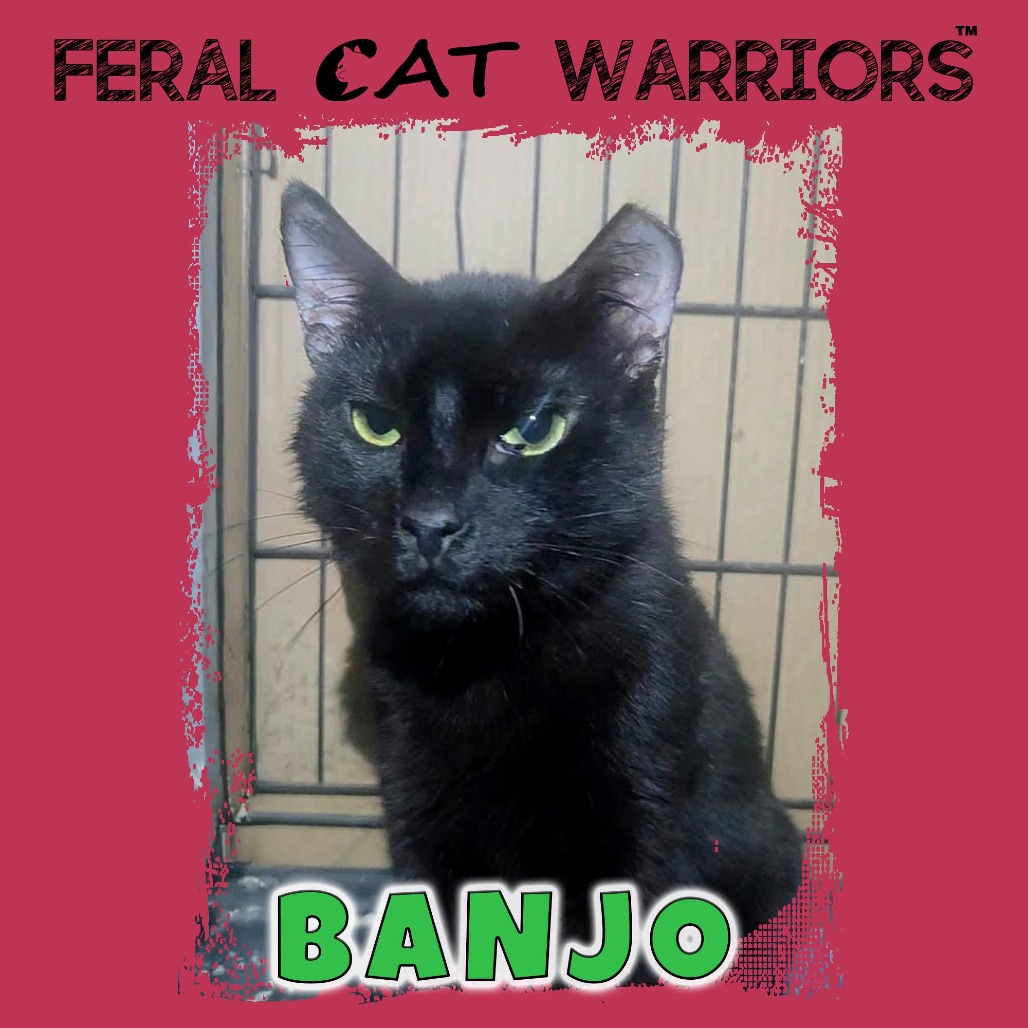 Banjo