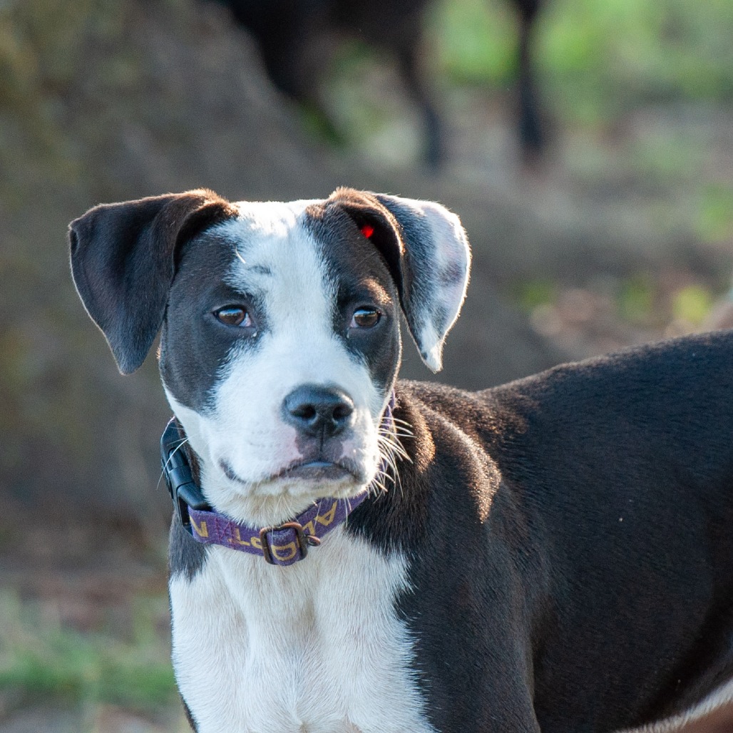 Winnie, photo 5
