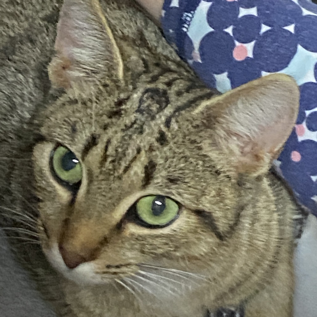 Emmy (Mom), photo 2