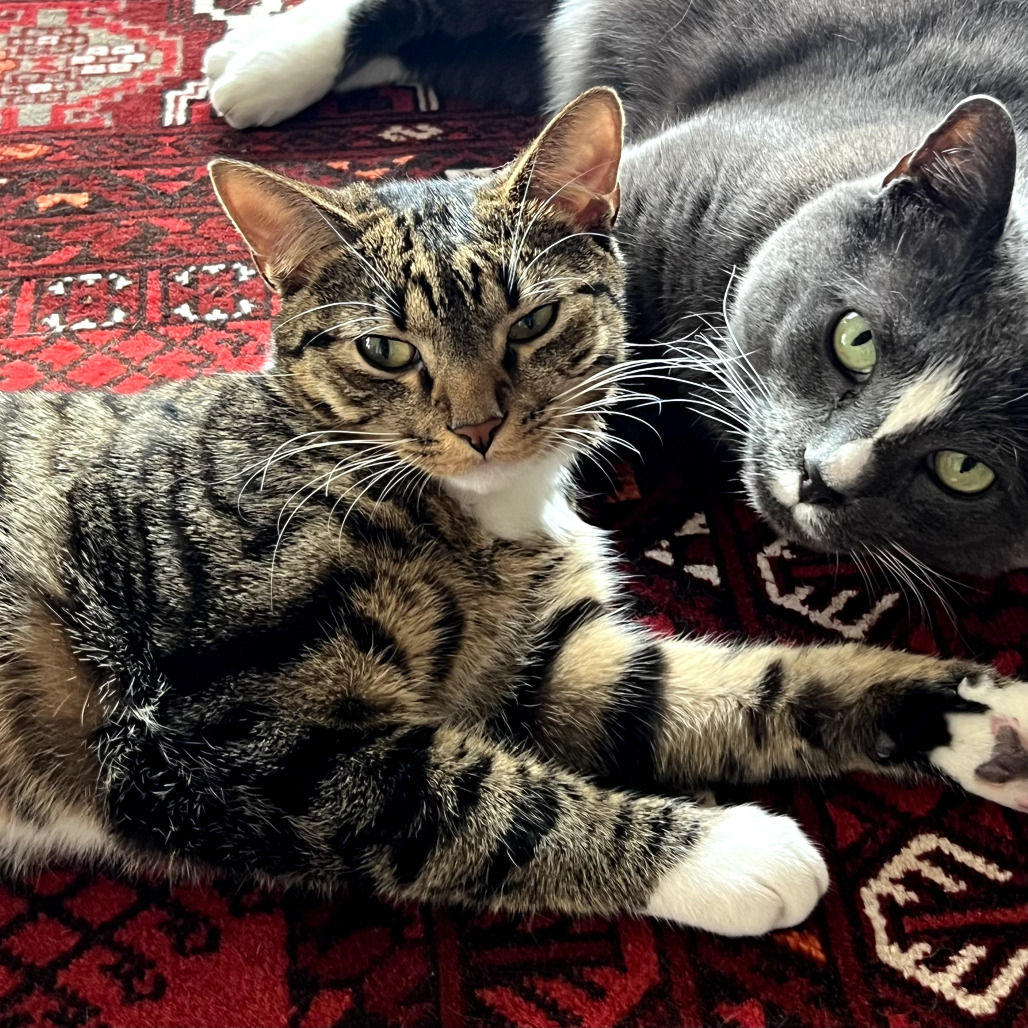 Minnie — thumbnail 5